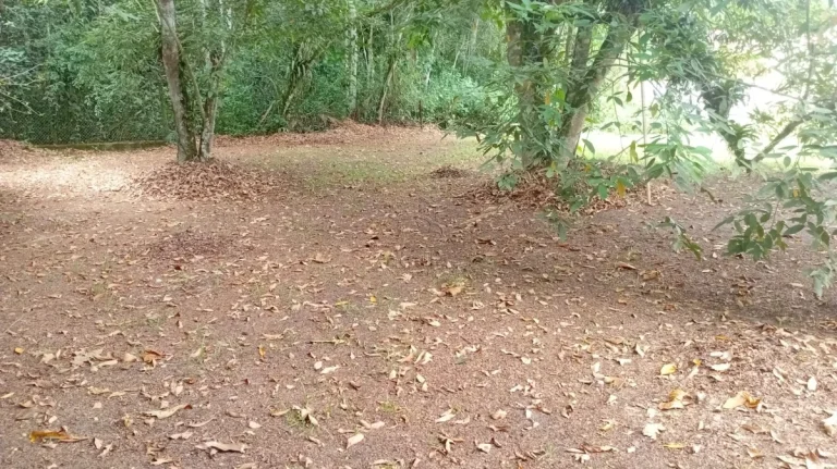 Imagem Terreno Pé na Areia no Ubatumirim! 300 metros em Condomínio Fechado!!
