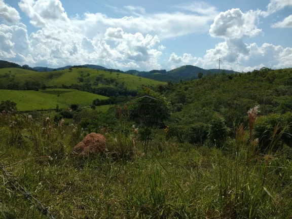 Imagem Chácara à venda no bairro Rocinha - Guaratinguetá/SP