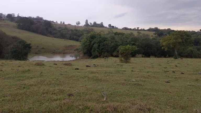 Imagem Sítio à venda, 484000 m² por R$ 4.000.000,00 - Bairro Congonhal - Tatuí/SP