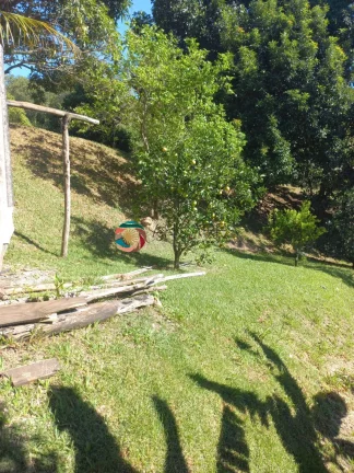 Imagem CHÁCARA COM CASA SEDE - PISCINA - EXCELENTE OPORTUNIDADE