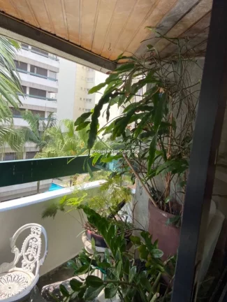 Imagem Apartamento à venda Moema São Paulo