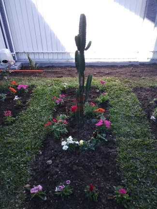 Imagem SOBRADO com 3 dormitórios à venda com 396m² por R$ 865.000,00 no bairro Guarituba - PIRAQUARA / PR