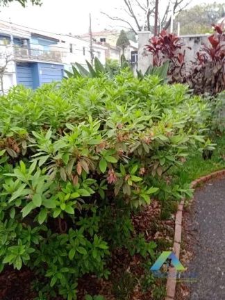 Imagem Sobrado com 6 dormitórios à venda, 250 m² por R$ 1.985.000,00 - Ipiranga - São Paulo/SP