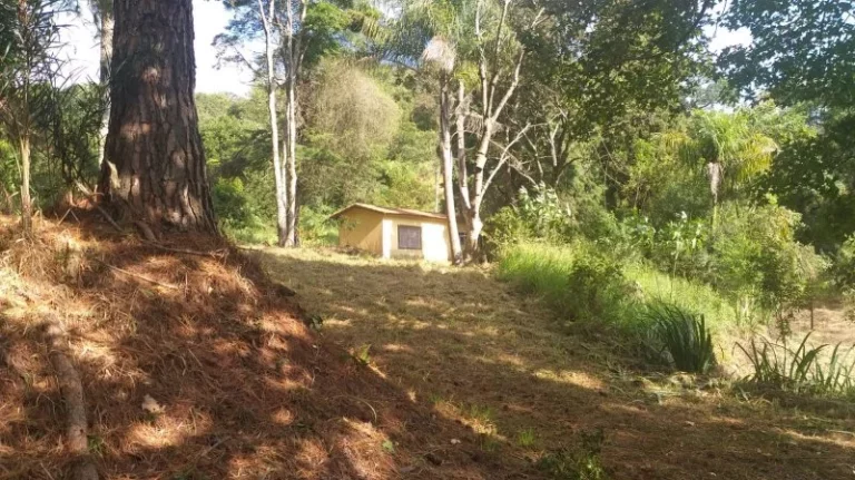 Imagem Sítio - Venda em Cabreúva e Região/SP