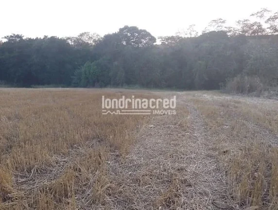 Imagem Vendo Terreno de 40.000m² Próximo a Ibiporã – Ótimo para Investimento, Loteamento, Agricultura ou Chácaras! Duas Escrituras! Agende uma Visita!