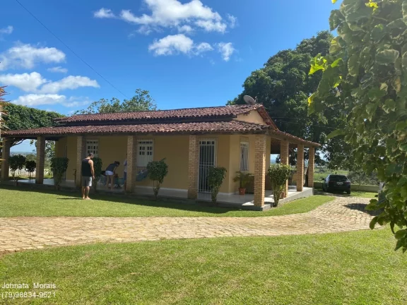 Imagem Fazenda à venda em Lagarto/SE - 80 Tarefas, Casa com 3/4 e 3 Suítes, Curral e Nascente!