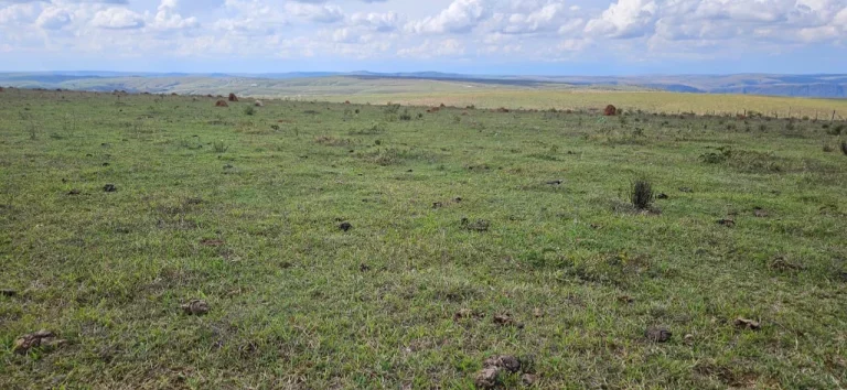 Imagem FAZENDA À VENDA EM DELFINÓPOLIS - MG COM 430 ALQUEIRES
