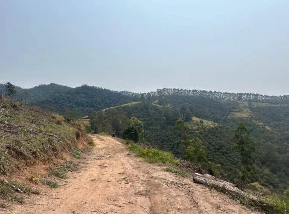 Imagem FAZENDA COM 87 HECTARES - GUARATINGUETÁ - SP