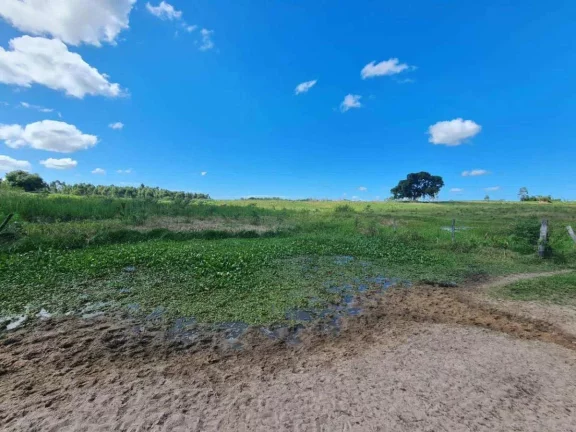 Imagem Fazenda à Venda, 251 m²