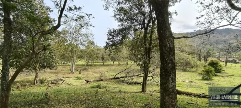 Imagem Terreno de 10,4 Hectares à Venda no Bairro Bom Pastor