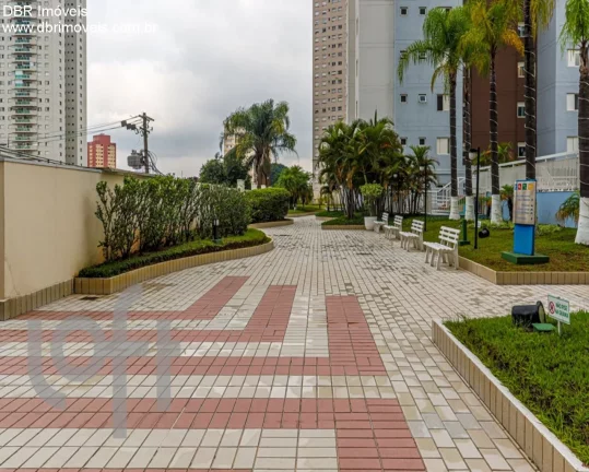 Imagem APARTAMENTO RESIDENCIAL em São Paulo - SP, Carrão