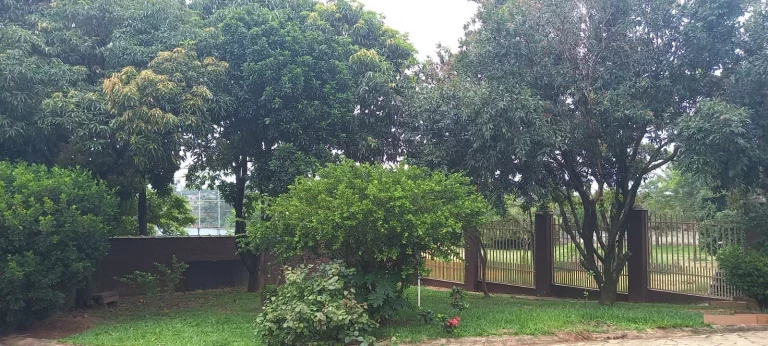 Imagem CHÁCARA COMPLETA - CHÁCARAS RECREIO ALVORADA - HORTOLÂNDIA