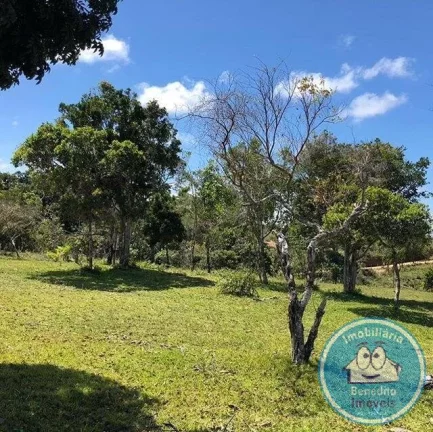 Imagem Gleba de Terra para Venda no Litoral -Região Caraívas R$750.000,00