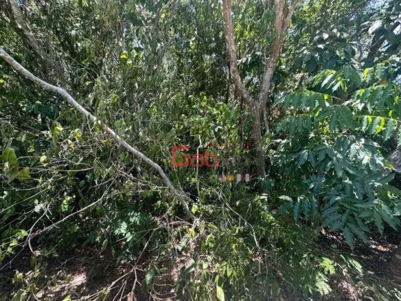 Imagem Terreno à venda, 450 m² por R$ 220.000,00 - Caravelas - Armação dos Búzios/RJ