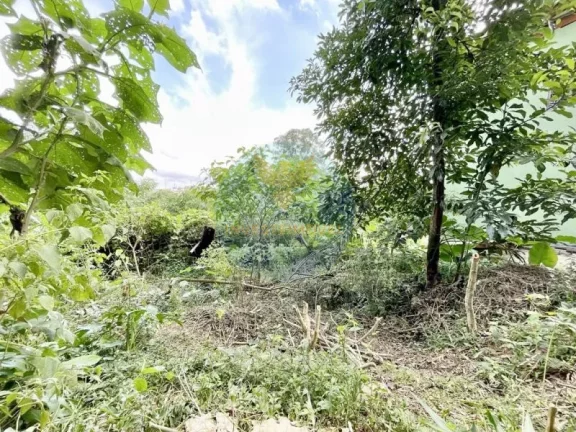Imagem Terreno Granja Viana 907m2, Bolsão fechado com segurança 24h