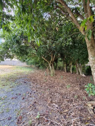 Imagem CHÁCARA LOCALIZADA NO CENTRO - PILAR DO SUL -SP