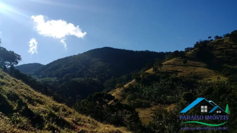 Imagem Área de Mata Compensação Ambiental ou Crédito de Carbono S. da Mantiqueira!