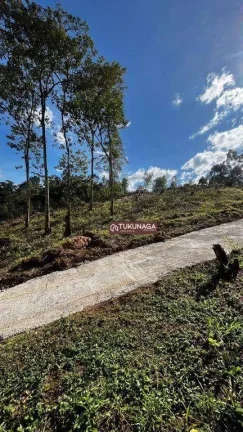Imagem Terreno à venda, 1000 m² por R$ 110.000,00 - Rio Acima - Mairiporã/SP