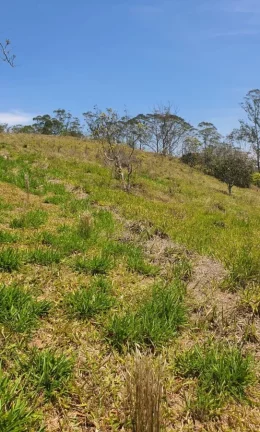Imagem Terreno para Venda em Ribeirão Pires / SP no bairro Quarta Divisão