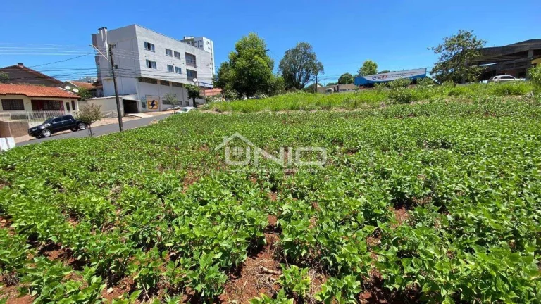 Imagem Terreno proximo Trev Da Guarani