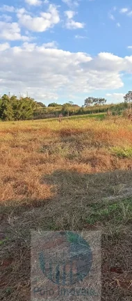 Imagem Chácara 10.000 metros R$ 350.000 em Santo Antônio da Alegria - SP.