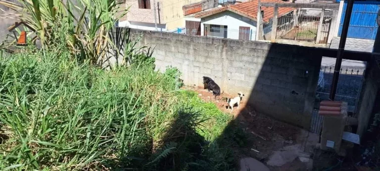 Imagem Ótimo Terreno para construir Sobrados no Jardim Mauá, Mauá-SP