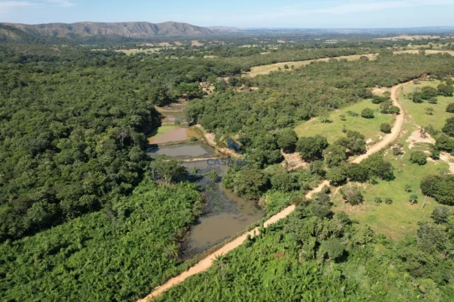 Imagem Sítio à venda na Guia - Cuiabá/MT | 82 hectares com nascente, açudes e estrutura completa