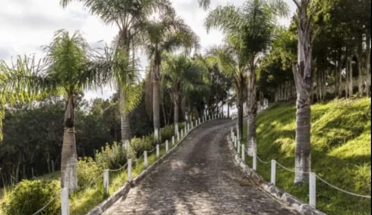 Fazenda para Venda - Roça Velha