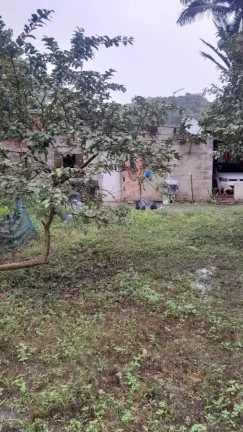 Imagem Sítio para Venda em Sete Barras, Rural