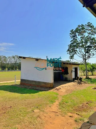 Imagem OPORTUNIDADE - LINDO HARAS A VENDA EM LAGOINHA SP