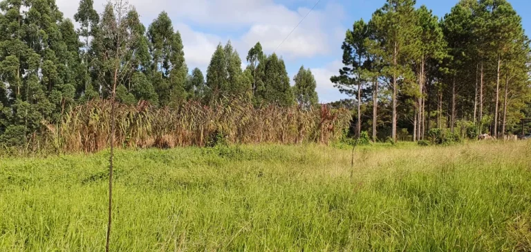 Imagem Sítio à venda em Piedade-SP, bairro Piedade, com 0,01 m² de área: oportunidade imperdível!