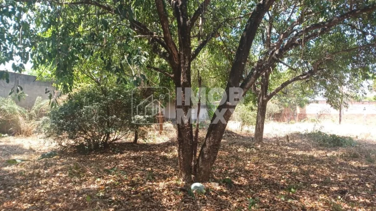 Imagem Lote à venda no Centro de Cavalcante, 1121,58m² de área útil. Oportunidade por R$500 mil!