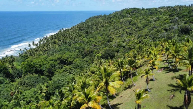 Imagem Natureza Serra Grande