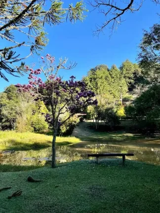 Imagem Onde a Pedra do Baú é sua Moldura Particular: Luxo e Natureza em Santo Antônio do Pinhal