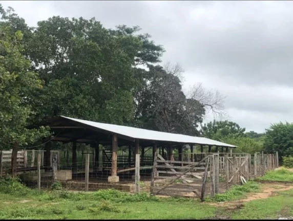 Imagem Sitio RESIDENCIAL em ALTOS - PI, Rural