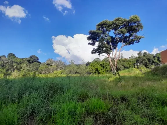Imagem Lote à venda em Barbacena, Colônia Rodrigo Silva, 2500m2