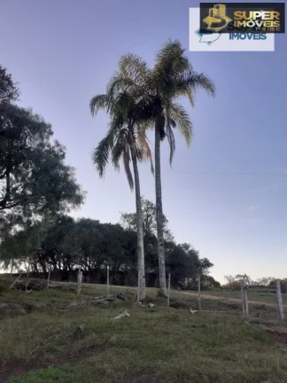 Imagem Chácara para Venda em Centro Cerrito-RS - 1591