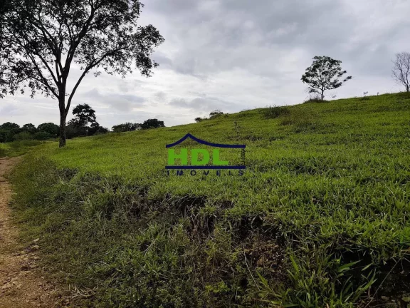 Imagem Fazendinha em Cromínia de 7.81 Alqs de Culturão