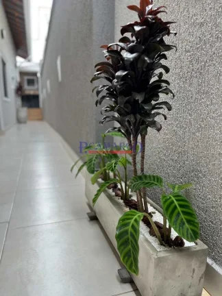 Imagem Casa Padrão