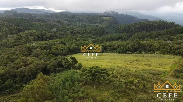 Imagem Sala Comercial à Venda, 200 m² em Serra Grande - Três Coroas