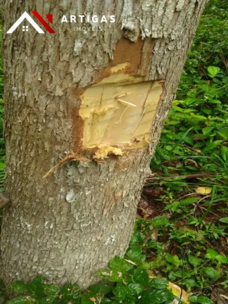 Imagem Sítio á venda 7,2 Hectares Oportunidade