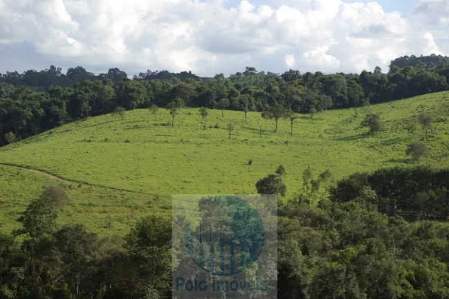 Imagem Sítio 10,24 alqueires em Jacuí MG, casa, água, cerca e pode plantar café, milho, soja e trabalhar com gado, 2 km da cidade.