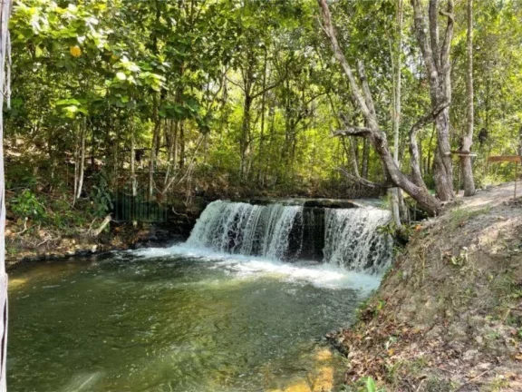 Imagem Fazenda à venda em Campos Lindos-TO: 6.706 hectares de pura oportunidade de investimento!