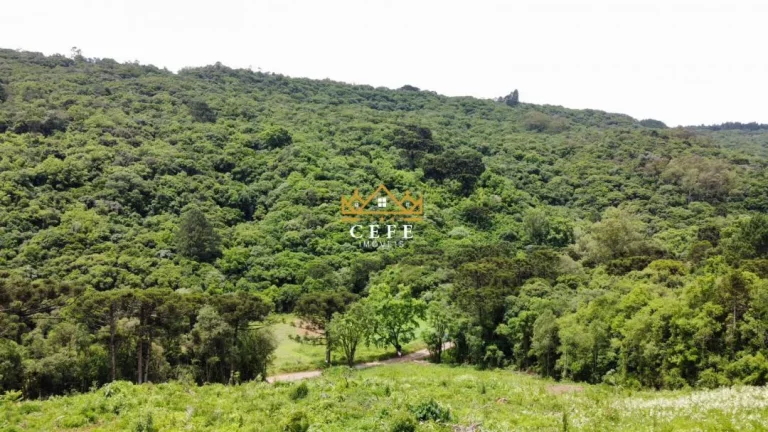 Imagem Chácara - Sítio com 3 Dormitorio(s) localizado(a) no bairro Serra Grande em Igrejinha / RIO GRANDE DO SUL Ref.:1594