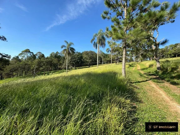 Imagem Área à venda em Terra Preta Mairiporã/SP - 48.000m² Próxima à Rodovia!