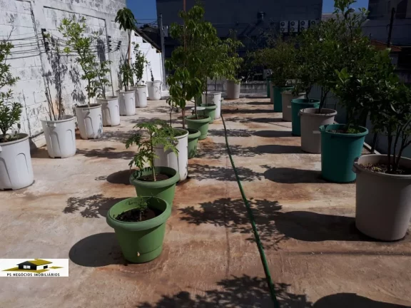 Imagem Terreno/Galpão para venda Cursino