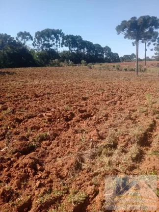 Imagem Terreno para Venda em São José dos Pinhais, Campo Largo da Roseira