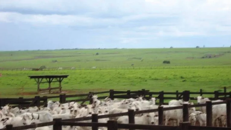 Imagem Fazenda em Mato Grosso - 103.000hec