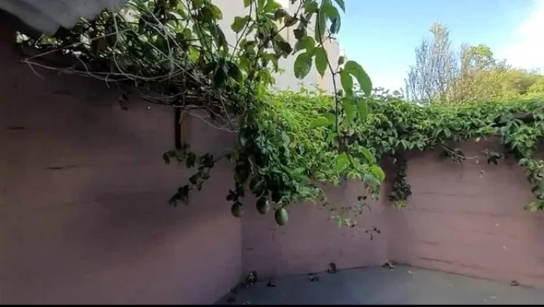 Imagem Casa para Alugar com 170m², 2 dormitórios, 1 sala e 2 vagas!!!