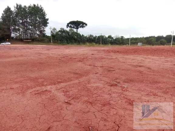 Imagem Terreno para Venda em São José dos Pinhais, Campo Largo da Roseira